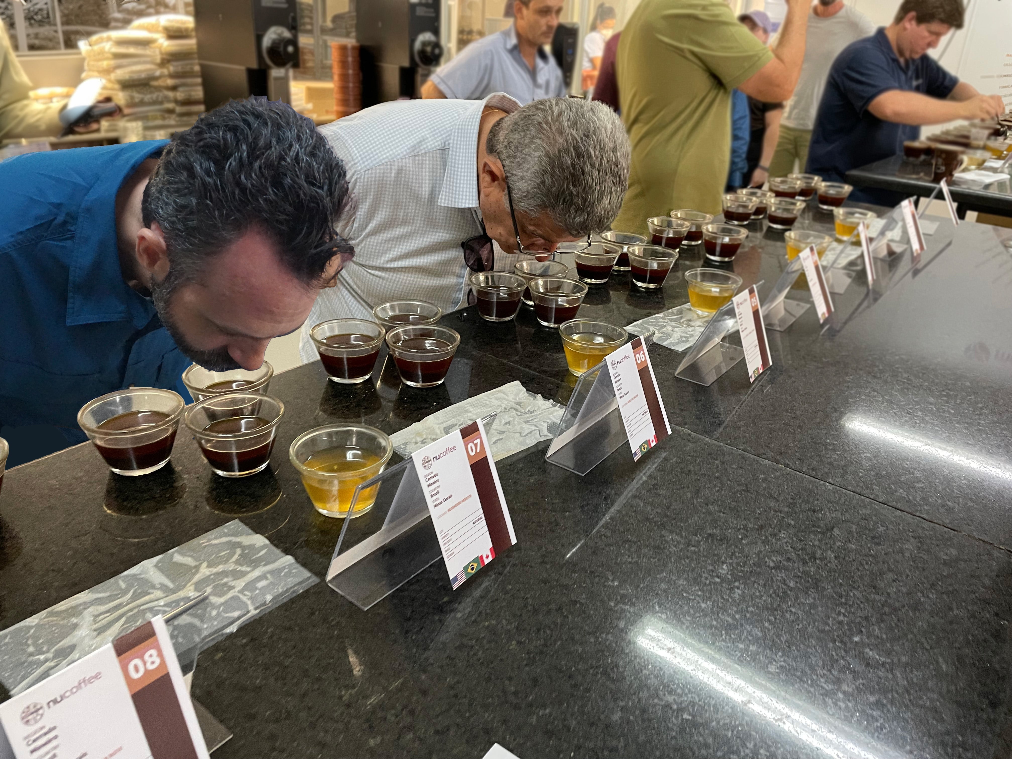 3 Month Single Origin Subscription ($150 Value) - Gregorys Coffee